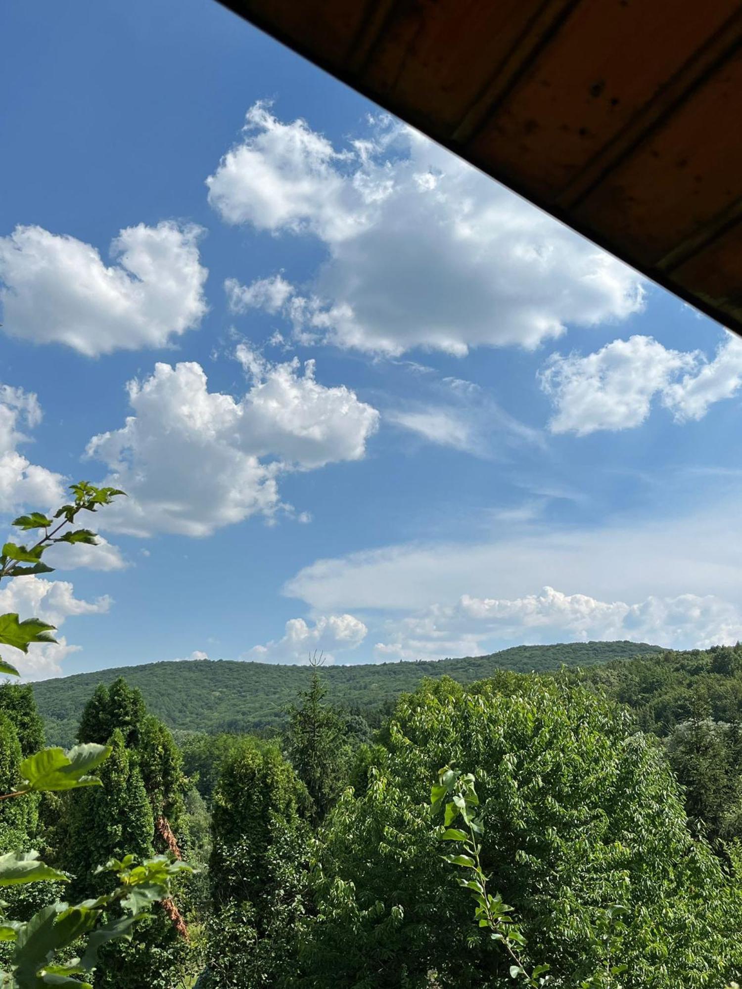 Maxx Lodge Bacău Zewnętrze zdjęcie